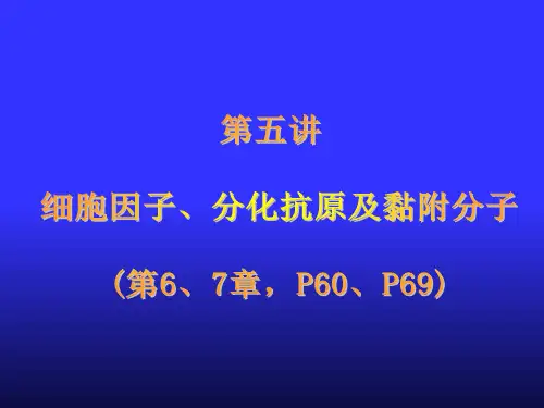 第5讲 细胞因子、分化抗原及黏附分子(第6、7章))j 医学免疫学课件
