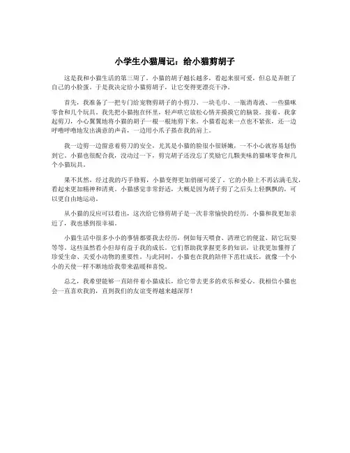 小学生小猫周记：给小猫剪胡子