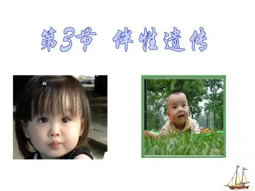 伴性遗传  