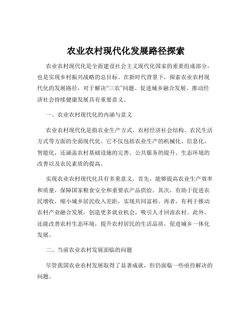 农业农村现代化发展路径探索
