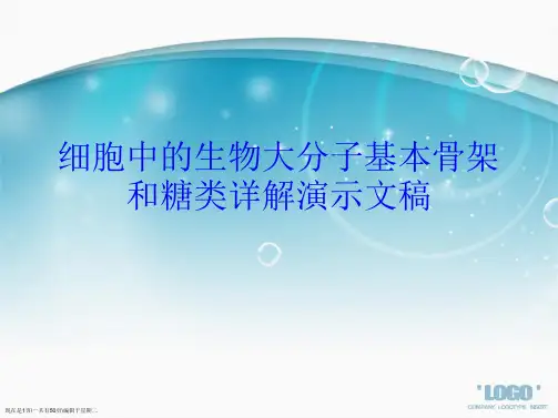 细胞中的生物大分子基本骨架和糖类详解演示文稿