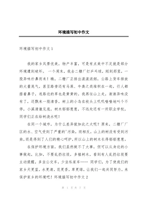 环境描写初中作文