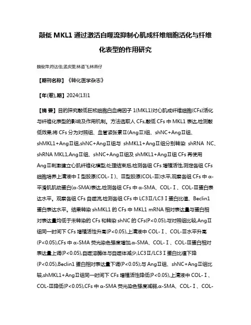 敲低MKL1通过激活自噬流抑制心肌成纤维细胞活化与纤维化表型的作用研究