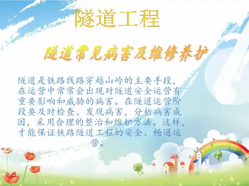 隧道常见病害及维修养护 PPT课件