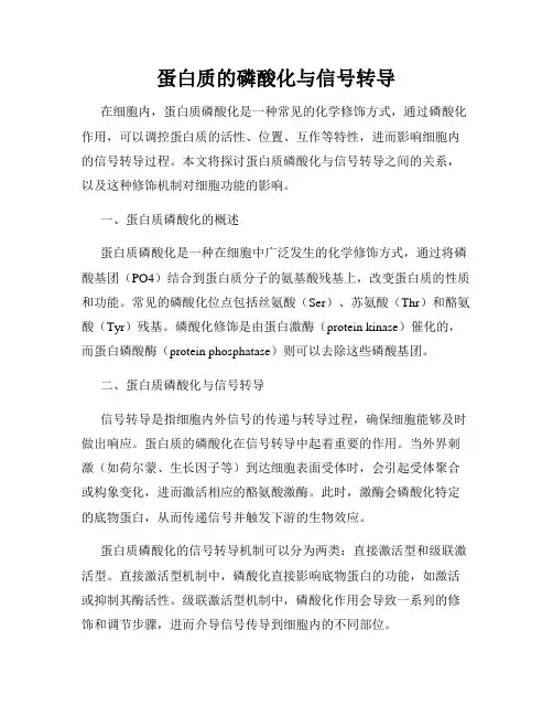 蛋白质的磷酸化与信号转导