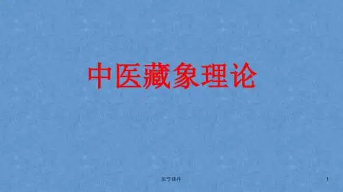 中医藏象理论 肾