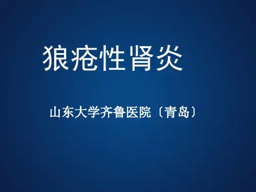 狼疮性肾炎幻灯ppt课件