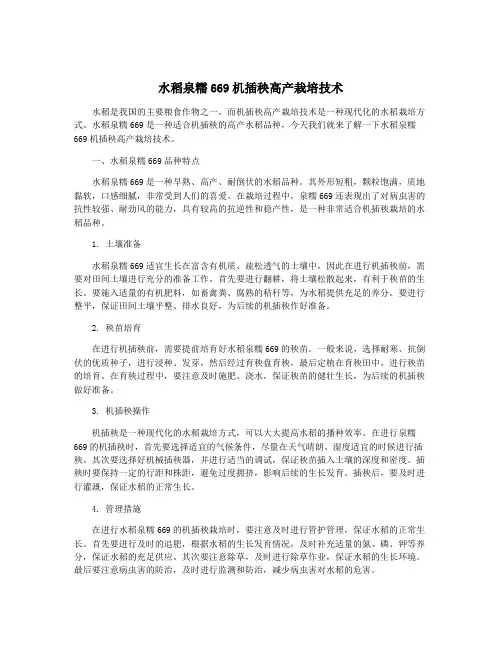 水稻泉糯669机插秧高产栽培技术