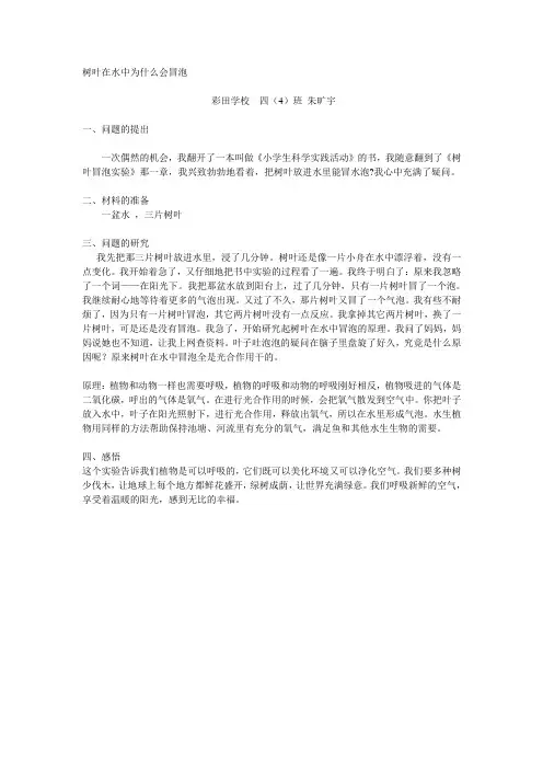 树叶在水中为什么会冒泡