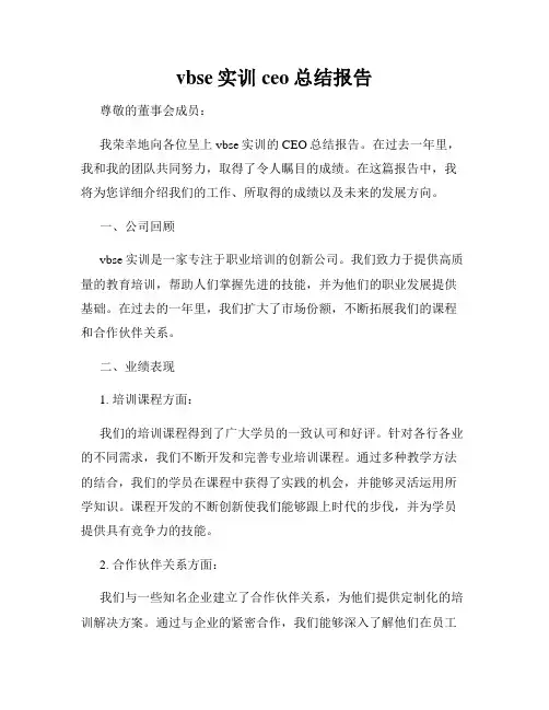 vbse实训ceo总结报告