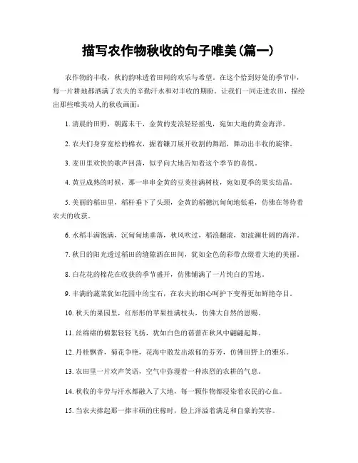 描写农作物秋收的句子唯美(精选2篇)