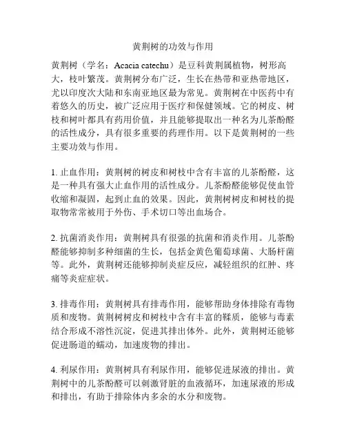 黄荆树的功效与作用