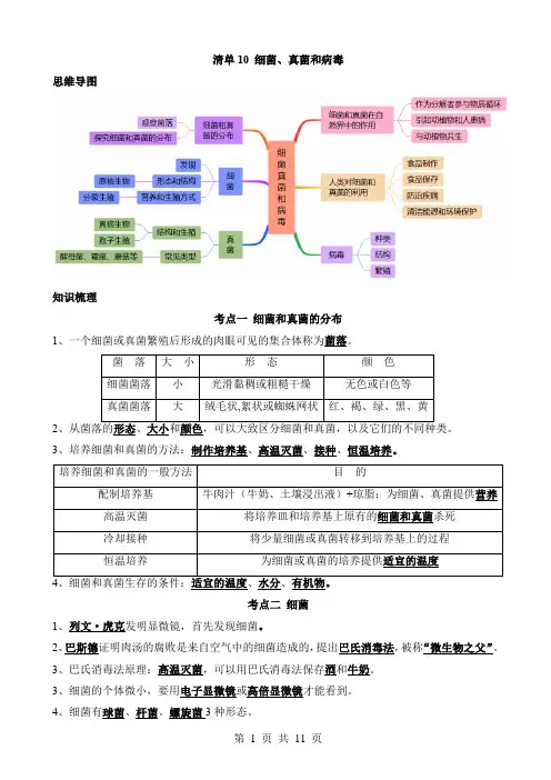 2024中考生物一轮复习知识清单10 细菌、真菌和病毒(6大考点+2大高频命题点)