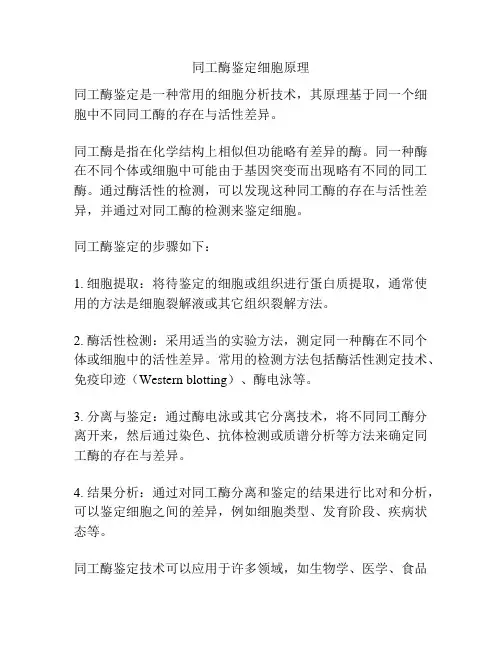 同工酶鉴定细胞原理