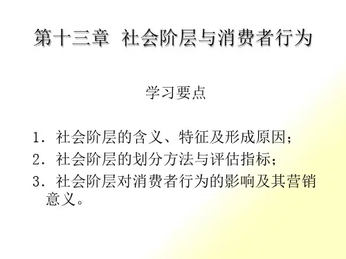 社会阶层与消费者行为讲解