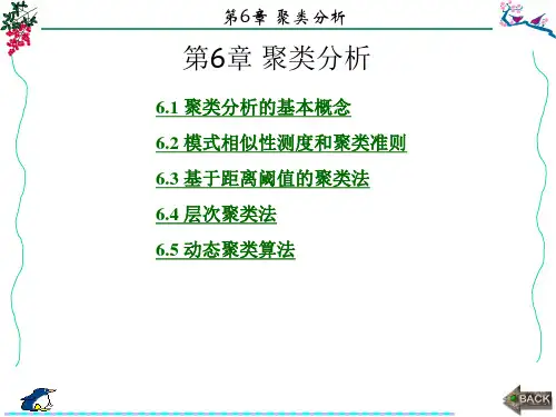 模式识别导论第6章聚类分析