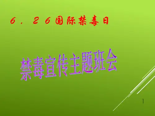 主题班会《禁毒宣传》ppt课件