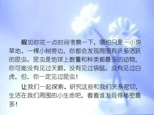 昆虫探索ppt