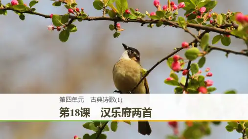 高中语文第四单元古典诗歌第18课汉乐府两首课件粤教必修1粤教高一必修1语文课件