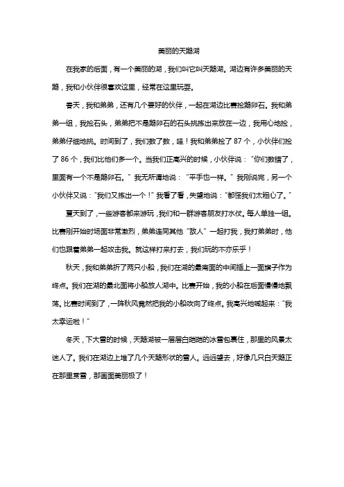 美丽的天鹅湖