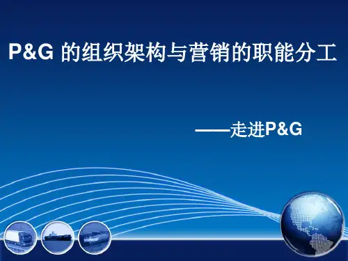 宝洁公司介绍