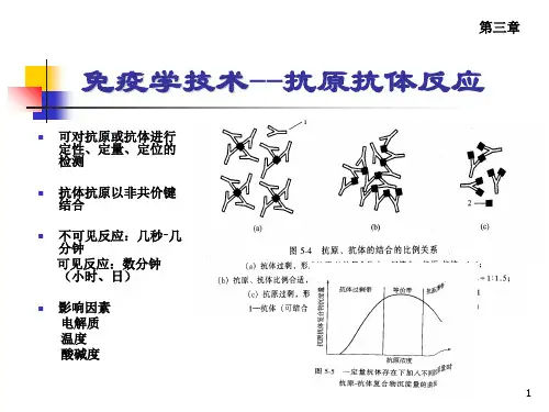 食品安全快速检测技术4.ppt