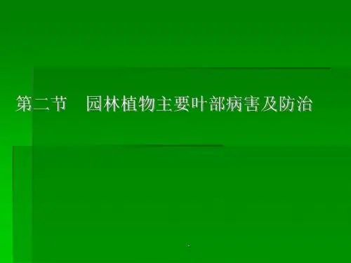 园林植物叶部病害ppt课件