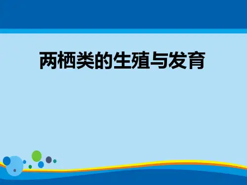 《两栖类的生殖与发育》PPT【精选推荐课件】