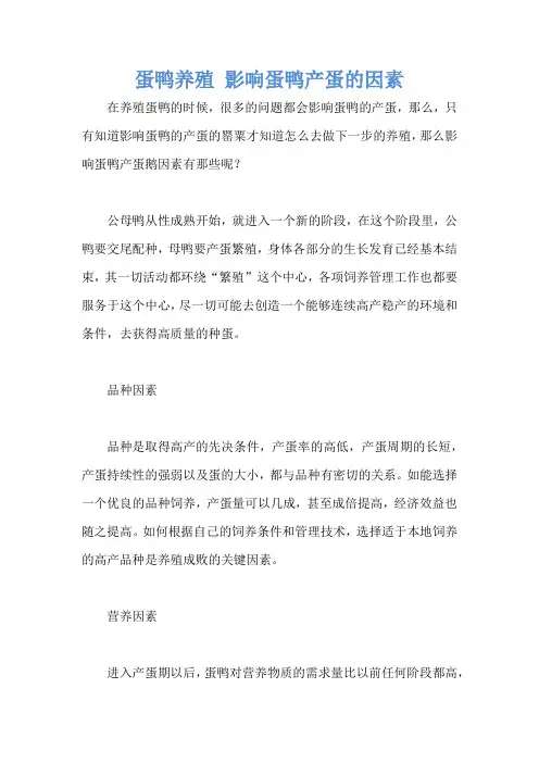 蛋鸭养殖 影响蛋鸭产蛋的因素