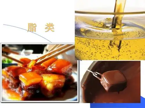 第五章 脂类
