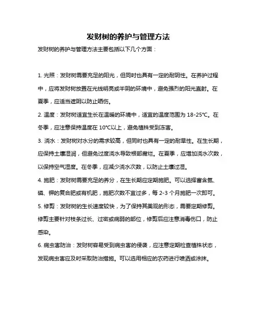 发财树的养护与管理方法