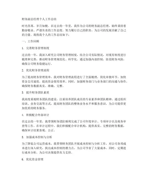 财务副总经理个人工作总结