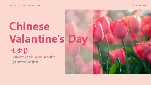 粉色温馨郁金香七夕节英语介绍课件