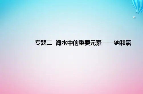 2024届高考化学学业水平测试复习专题二第一节钠及其化合物课件