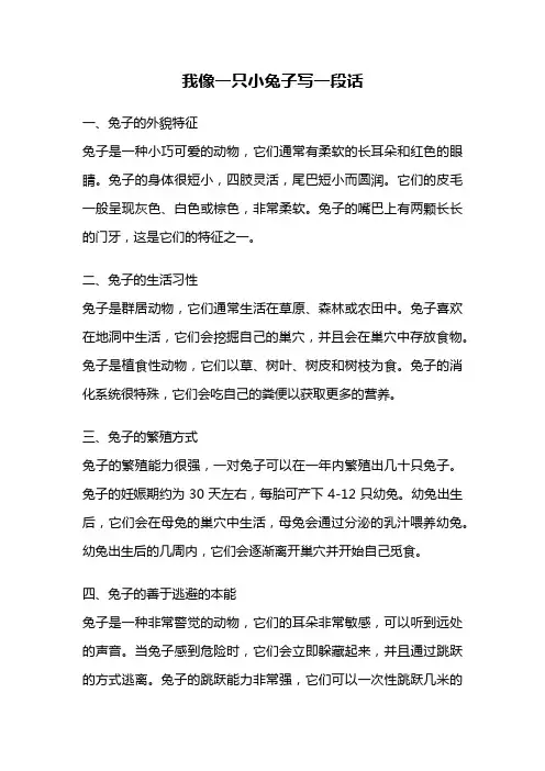 我像一只小兔子写一段话