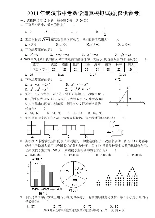 2014学武汉市中考数学逼真模拟试题
