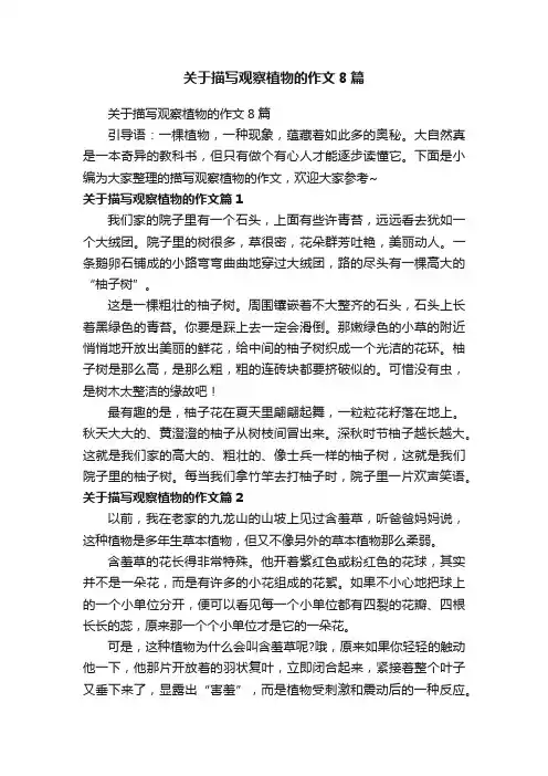 关于描写观察植物的作文8篇