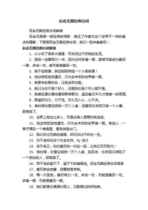 后会无期经典台词集锦
