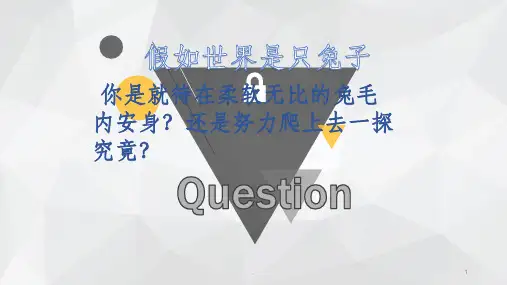 苏菲的世界自制ppt课件