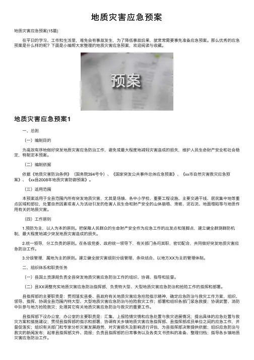 地质灾害应急预案