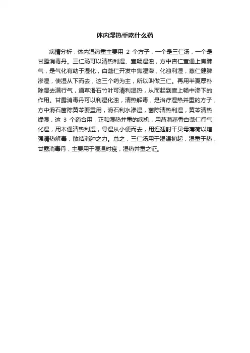 体内湿热重吃什么药