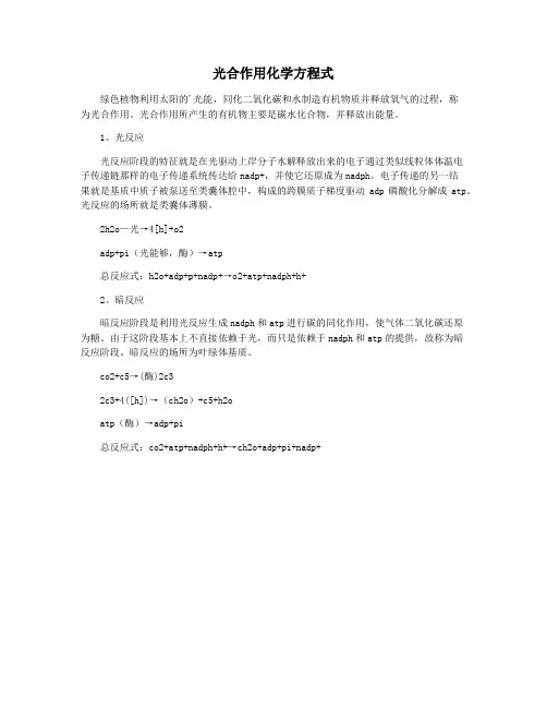 光合作用化学方程式