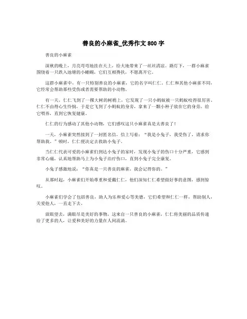 善良的小麻雀_优秀作文800字