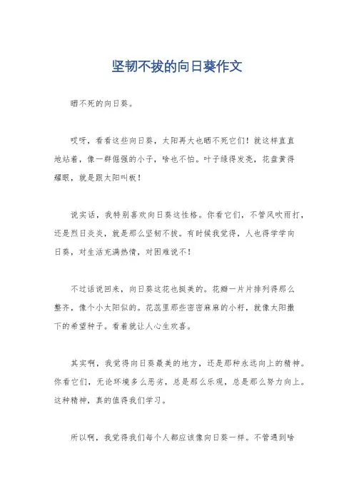 坚韧不拔的向日葵作文