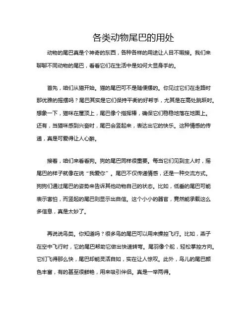 各类动物尾巴的用处