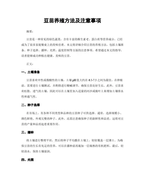 豆苗养殖方法及注意事项