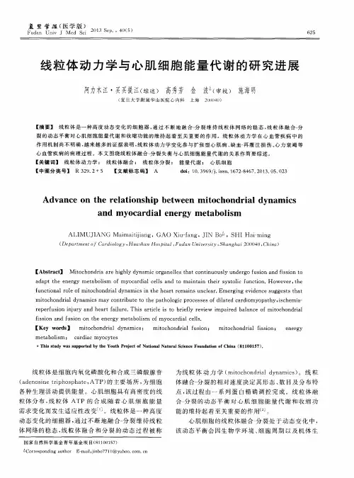 线粒体动力学与心肌细胞能量代谢的研究进展