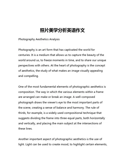 照片美学分析英语作文