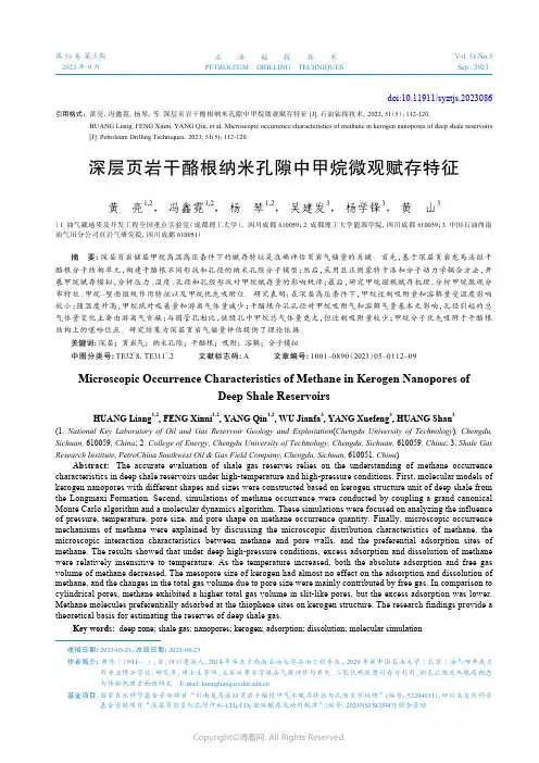 深层页岩干酪根纳米孔隙中甲烷微观赋存特征
