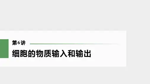 新高考一轮复习细胞的物质输入和输出课件